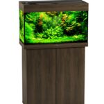 Аквариум Biodesign Риф 80